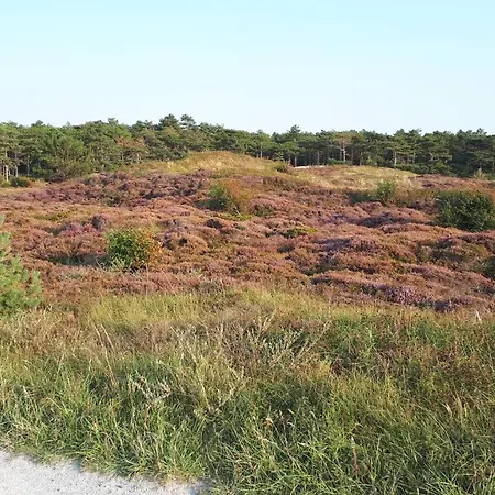 Prázdninový dům Bungalow Groen Den Burg