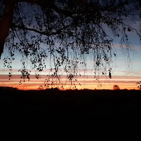 Bungalow Groen Prázdninový dům