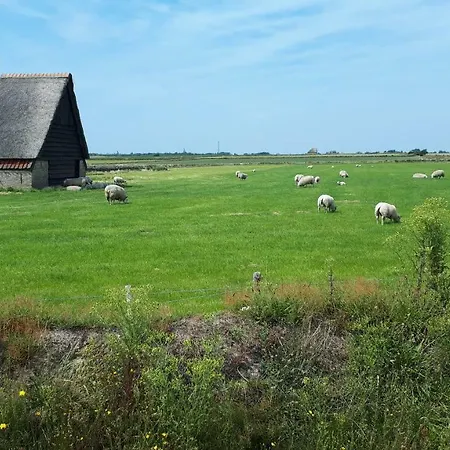 Prázdninový dům Bungalow Groen Den Burg